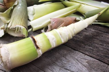 Bambu filizleri ahşap arka planda