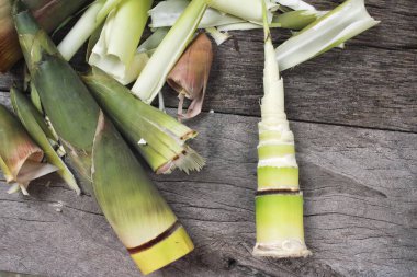 Bambu filizleri ahşap arka planda