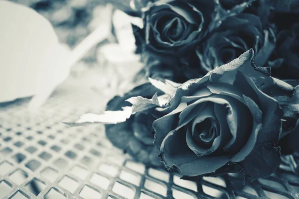Fleur Rose Noire Blanche — Photo