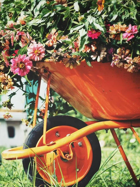 Bela Flores Primavera Carro Jardim — Fotografia de Stock