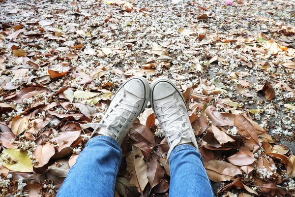 Selfie Von Weißen Turnschuhen Auf Getrockneten Blättern — Stockfoto