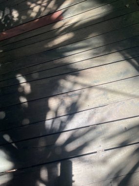 Ahşap zeminde yaprak gölgesi