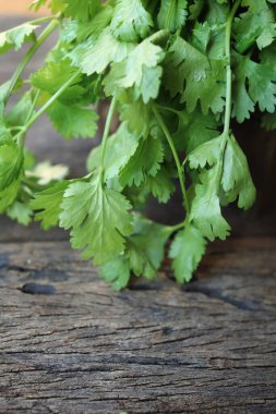 Ahşap arka planda kişniş otu