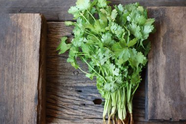 Ahşap arka planda kişniş otu