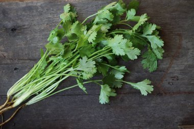 Ahşap arka planda kişniş otu