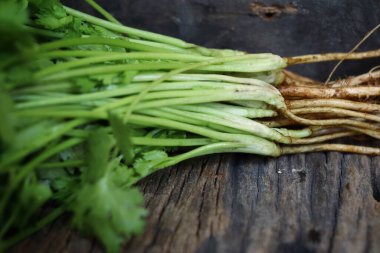 Ahşap arka planda kişniş otu