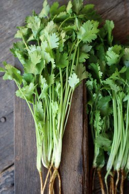 Ahşap arka planda kişniş otu