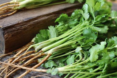 Ahşap arka planda kişniş otu