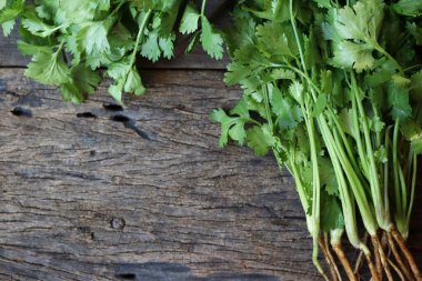 Ahşap arka planda kişniş otu