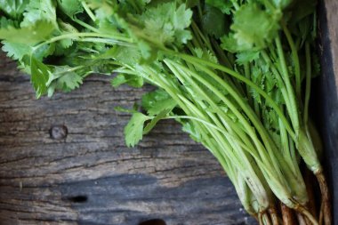 Ahşap arka planda kişniş otu