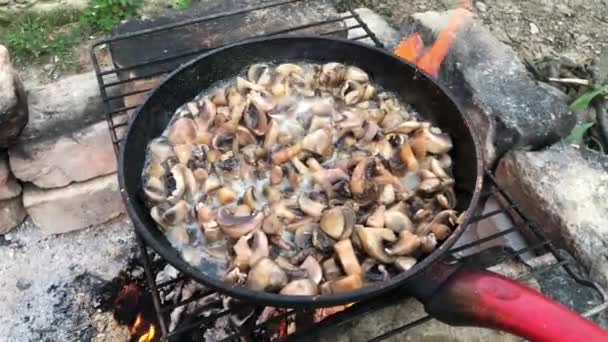 Proceso Cocción Champiñones Fritos Con Cebollas Llamas Condiciones Aire Libre — Vídeo de stock