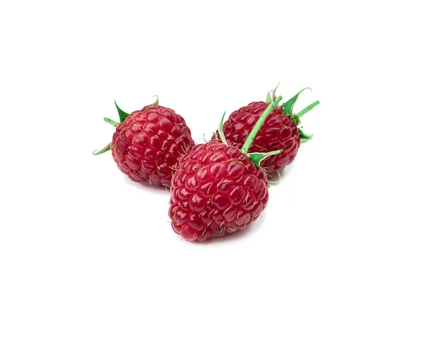 Ahududu. Dikenli dikenli dikenli tatlı ve taze bir dut ve güneşli bir gölgeyle beyaz bir arka plan. Yaz mevsimlik meyveler.