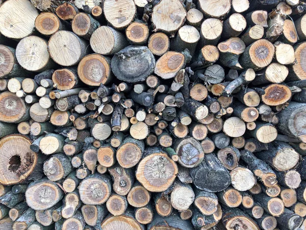 Isıtma için odun, şenlik ateşi, şömine. Testereli ağaç gövdelerinden. Ahşap dokular. Köy boş.