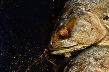 Makro bir tavada Kızartılmış ton balığı başkanı. Bitkisel yağ ile yemek. Tepegöz, üstten görünüm yatay renkli görüntü.