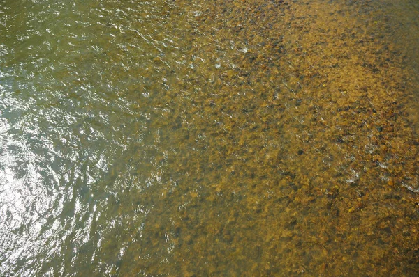 Üstten görünüm portre eski ahşap tekne ve doğal dock nehrin yanında yeşil çim ile. Dikey renkli görüntü.