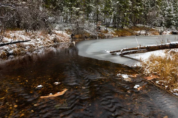 森林里第一片有小溪的雪 冬天的开始 秋末风景的第一场霜冻 溪流中的针和雪帽看起来像一张快乐的脸 飘飘欲仙 — 图库照片