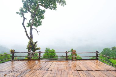 Asya, Doi Luang Chiang Dao Chiang Mai Tayland sonra yağmur dağ görünümünde ağaç veranda ve sandalye, yeşil orman, dağ hava temiz hava manzara doğa kavramı ile kaplı bir sis float