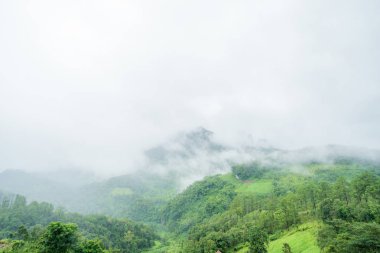 Sis kapağı dağlar Doi Luang Chiang Dao Chiang Mai Kuzey Tayland. Sabah sonra yağmur, bu canlandırıcı ve rahatlatıcı manzara doğa kavramı
