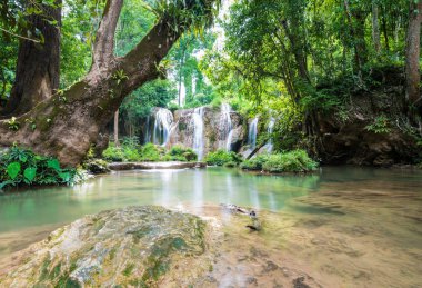 Barış şelale yıl boyunca su güzel. Zümrüt yeşili sudur. Doi Phu Nang Milli Park, Phayao, Tayland bulunan. Şelale doğa manzara
