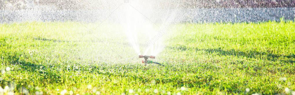 green grass with water splashes. Irrigation system Background, banner