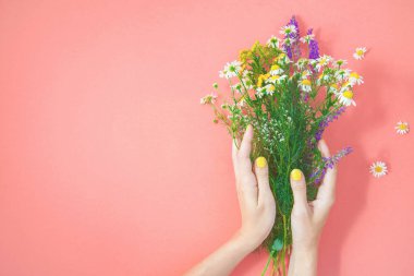 Eller kır çiçekleri buketi pembe bir arka plan üzerinde şifalı otlar kopya alanı üstten görünüm toplamak.