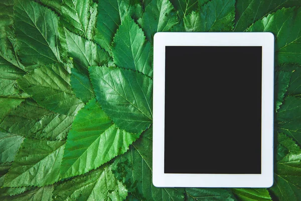 Háttérben a zöld lombok tabletta Copyspace — Stock Fotó