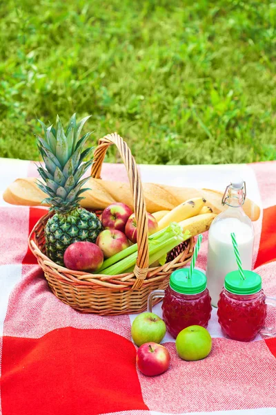 picnic basket, fruit, juice in small bottles, apples, pineapple summer, rest plaid grass Copyspace