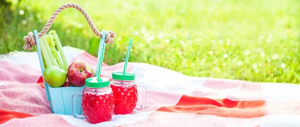 picnic basket, fruit, juice in small bottles, apples, summer, rest, red plaid, green grass Copyspace Banner concept