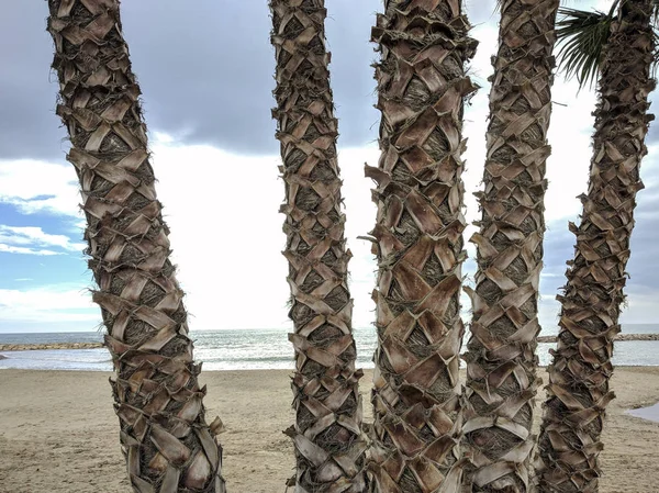 Empty Beach Cambrils Spain — Stock Photo, Image