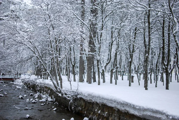 Snow Landscape Winter — Stock Photo, Image