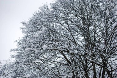 Kar manzara kış (İspanya)