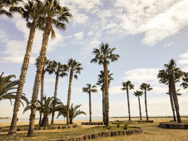 Cambrils (İspanya boş beach)