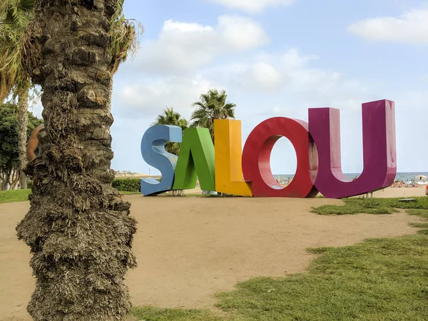 Palmen vor dem Meer (salou spanien) — Stockfoto