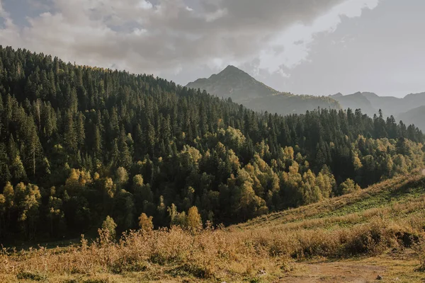 Suivi Jusqu Aux Lacs Dukkinskie Septembre — Photo