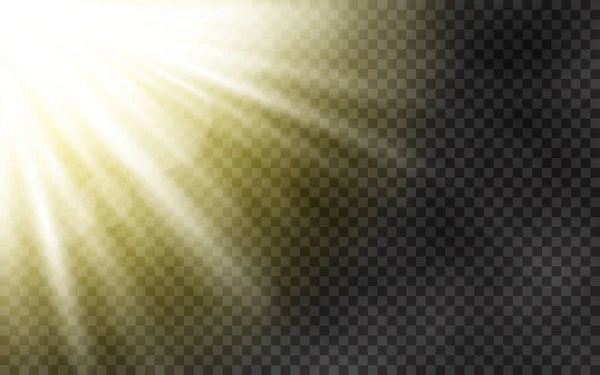Sunlight Morning Fog Transparent Background Spring Template Yellow Rays Sun — Stock Vector