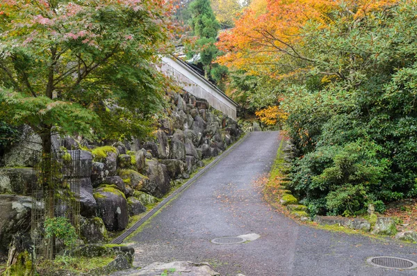 Ruta Romántica Otoño Con Arces Japoneses Miyajima Japón —  Fotos de Stock