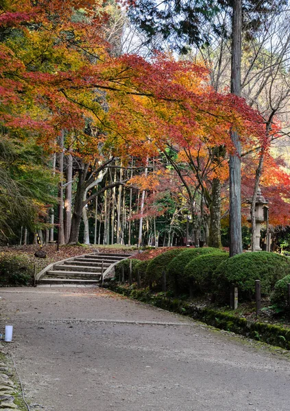 Jardín Hojas Color Otoñal Templo Daigo Kyoto Japón —  Fotos de Stock