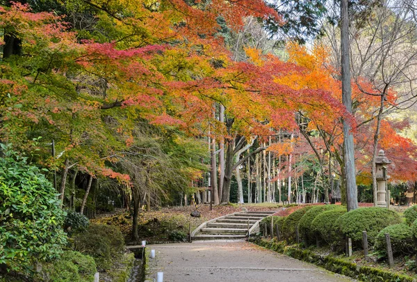 Jardín Japonés Otoño Templo Daigoji Kioto Japón —  Fotos de Stock