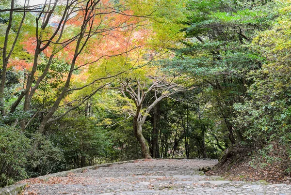 Escalones Piedra Que Descienden Con Hermosas Hojas Arce Color Otoño —  Fotos de Stock