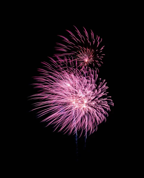 Rosa Explodiertes Feuerwerk Isoliert Auf Schwarzem Hintergrund — Stockfoto