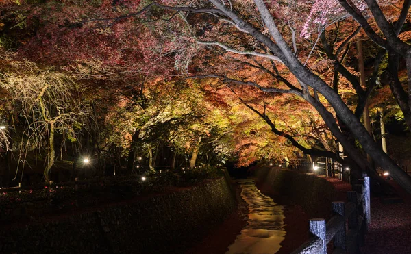 Bela Paisagem Outono Jardim Japonês Com Folhagem Bordo Iluminada Longo — Fotografia de Stock