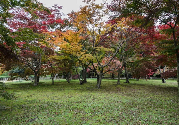 後楽園 岡山県のカエデの木の日本の秋の色 — ストック写真