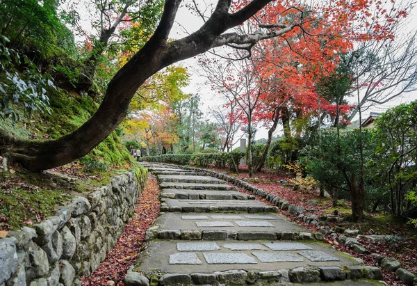 Autumn Japanese Maple Trees Steps Leading Temple Arashiyama Kyoto Japão — Fotografia de Stock
