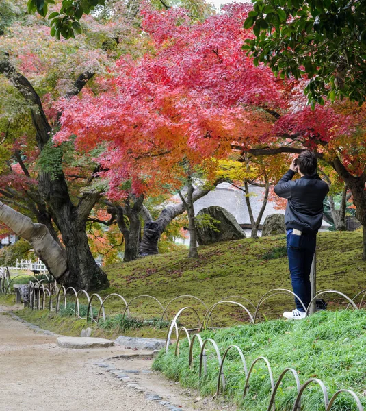 Cor Outono Japonês Jardim Korakuen Okayama Japão — Fotografia de Stock