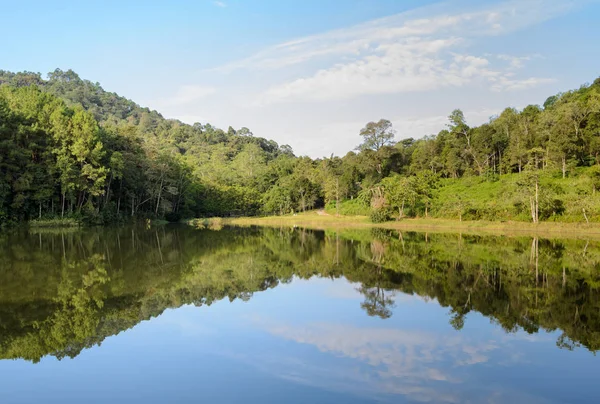 Hermoso lago del bosque por la mañana —  Fotos de Stock