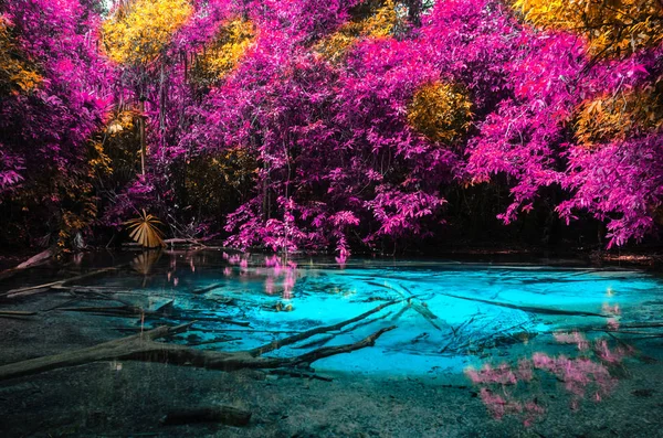 Piscine bleue émeraude aux couleurs automnales — Photo