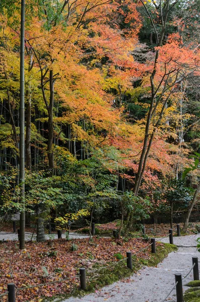 Jardín de follaje de arce de otoño en Enkoji Temple en Kyoto, Japón — Foto de Stock