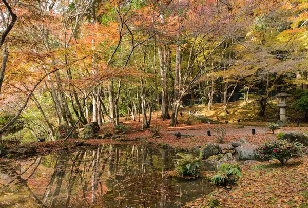 Bonito outono colorido folhas jardim no templo Daigo-ji, Kyoto — Fotografia de Stock