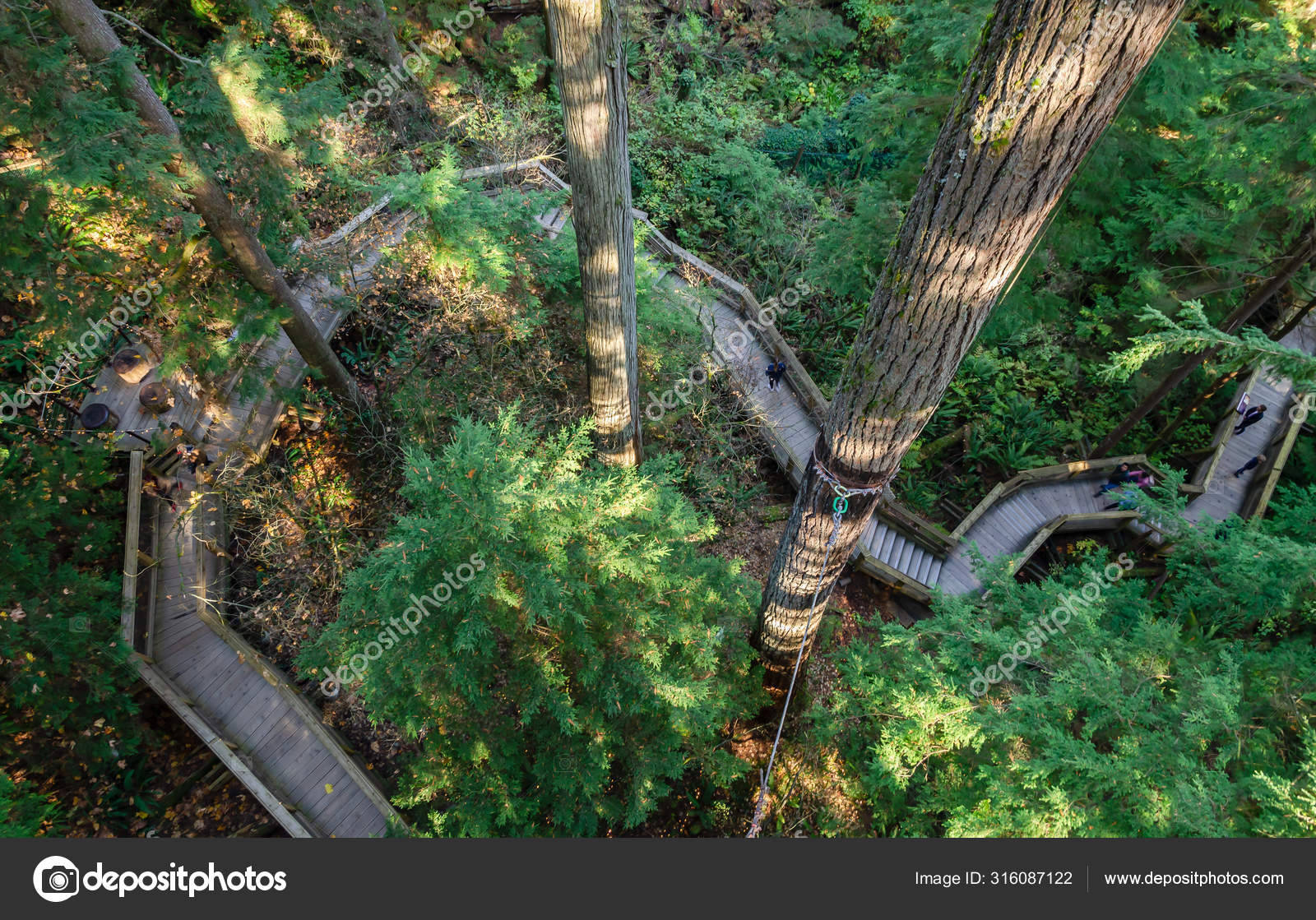 Footbridge trails in Capilano suspension bridge park, North Vanc — 스톡