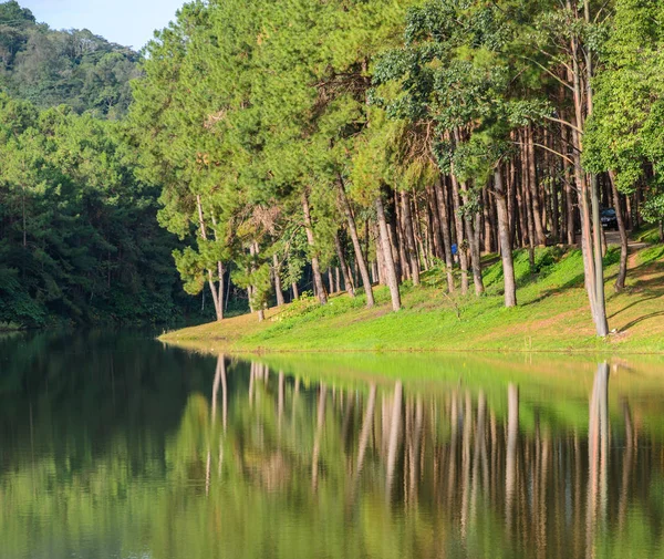 Pang Oung国家公园，反映湖中的松树，Mae — 图库照片